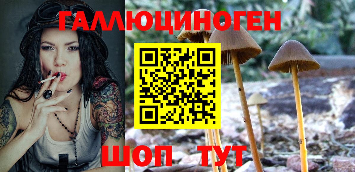 Псилоцибиновые грибы Cubensis Грязи