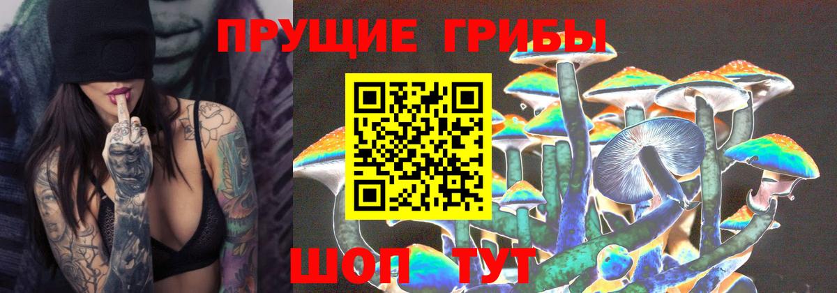 Псилоцибиновые грибы Psilocybe  Псилоцибиновые грибы Psilocybe  Вход с VPN  Грязи 